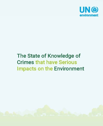 The State of Knowledge of Crimes that have Serious Impacts on the Environment