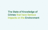 The State of Knowledge of Crimes that have Serious Impacts on the Environment